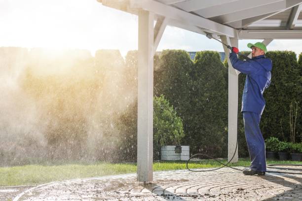 Best Brick and Stone Cleaning in Alton, IL
